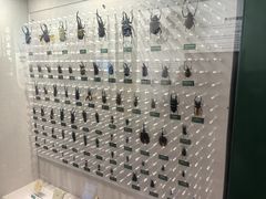 -国家自然博物馆