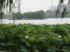 -济南大明湖景区