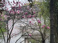-横山水库