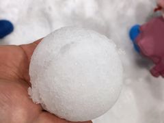 -Mr·Kuma酷么先生雪之乐园