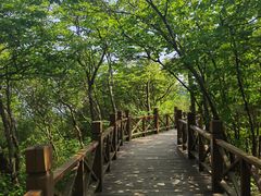 -山沟沟景区