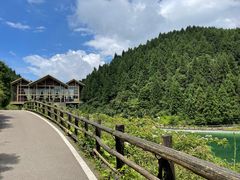 -武陵山森林公园