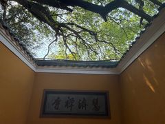 -普陀山慧济禅寺