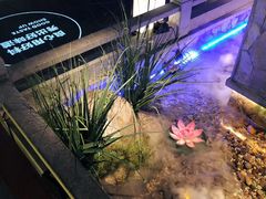-首秀·四川料理(星耀101店)