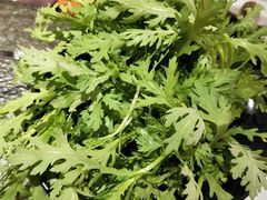 -煲宫猪肚鸡(昆山金鹰国际购物中心店)