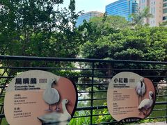 -九龙公园