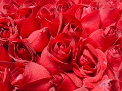 -梅梅家的烤肉店(槐北路店)