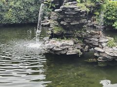 -惠州西湖风景名胜区-丰渚园