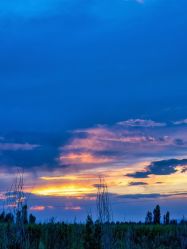 -Oasis Beauty水磨坊科技美肤中心