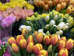 -双季花艺园艺市场(浦东店)