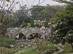 -广东花都湖国家湿地公园