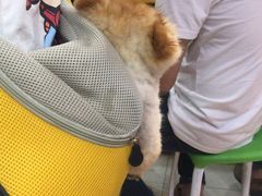-东门町美食街