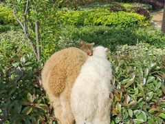 -杭州桐庐康莱德酒店西餐厅-舍