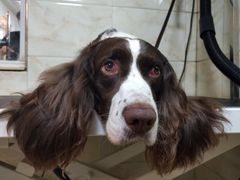 -喵汪宠物生活馆(涞坊路店)