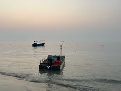 -贝壳沙滩