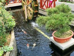 -顺德了能馆(虎门店)