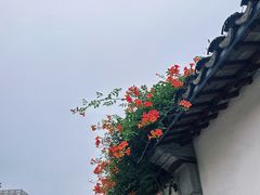 -青果巷历史文化街区