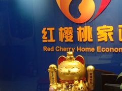 -红樱桃月嫂育婴师(徐汇总店)
