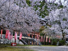 -醍醐寺