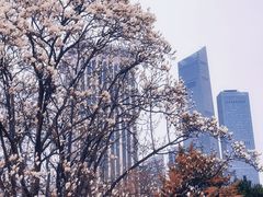 -富斯特索道