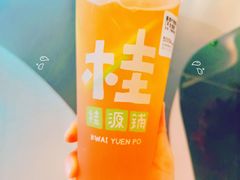 -桂桂茶(恒基名人店)