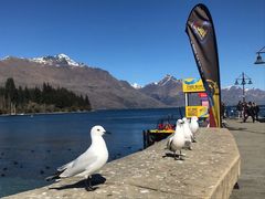 -Patagonia Chocolates(皇后镇店)