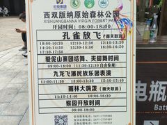 -西双版纳原始森林公园