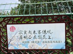 -树山生态村