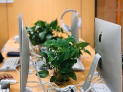 -沃尔得国际英语(泉城路校区)