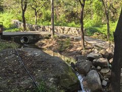-大岭沟猕猴桃谷风景区