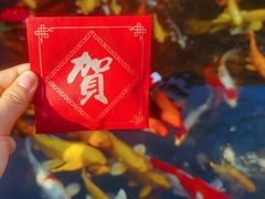 -下海庙