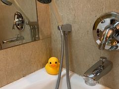 -南京维景国际大酒店(南京博物院店)