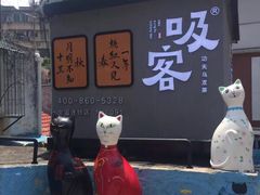 -猫咪博物馆(顶澳仔猫街店)