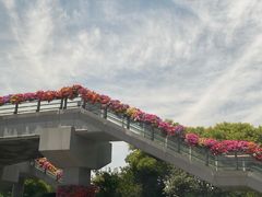-木塔寺遗址生态公园