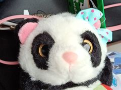 餐饮设施-成都大熊猫繁育研究基地