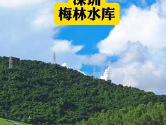 -麗枫酒店(深圳机场福永地铁站店)