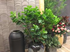 -唐沫茶兮(仓山万达金街店)