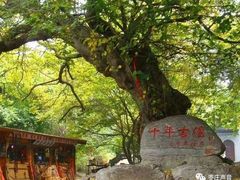 -青檀寺景区