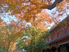 -灵谷景区