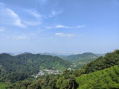 -龙井村