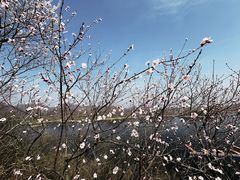 -易水湖景区
