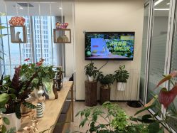 点击看大图 -dōTERRA多特瑞精油生活馆