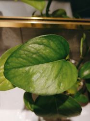 -香秀空间科技抗衰·美容中心