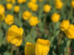 -长春公园(普阳街道)