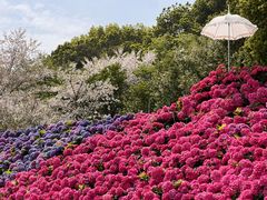 -苏州上方山国家森林公园