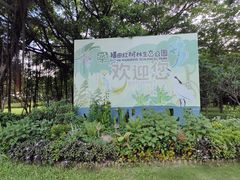 -福田红树林生态公园