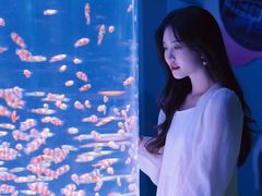-海合安成都极地海洋公园