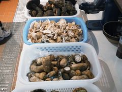 -阿山卓·野生菌火锅·纳西火塘烤肉