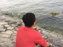 -白洋淀景区