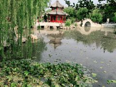 -莲池书院博物馆